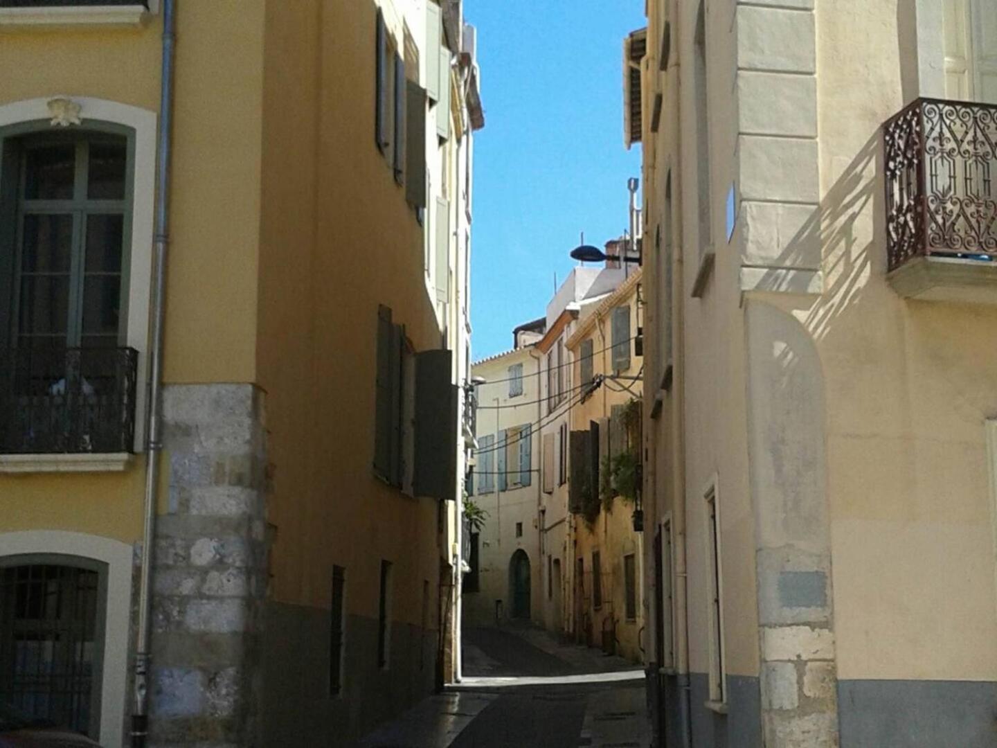 Appartement Saint-Sauveur Perpignan Exteriér fotografie